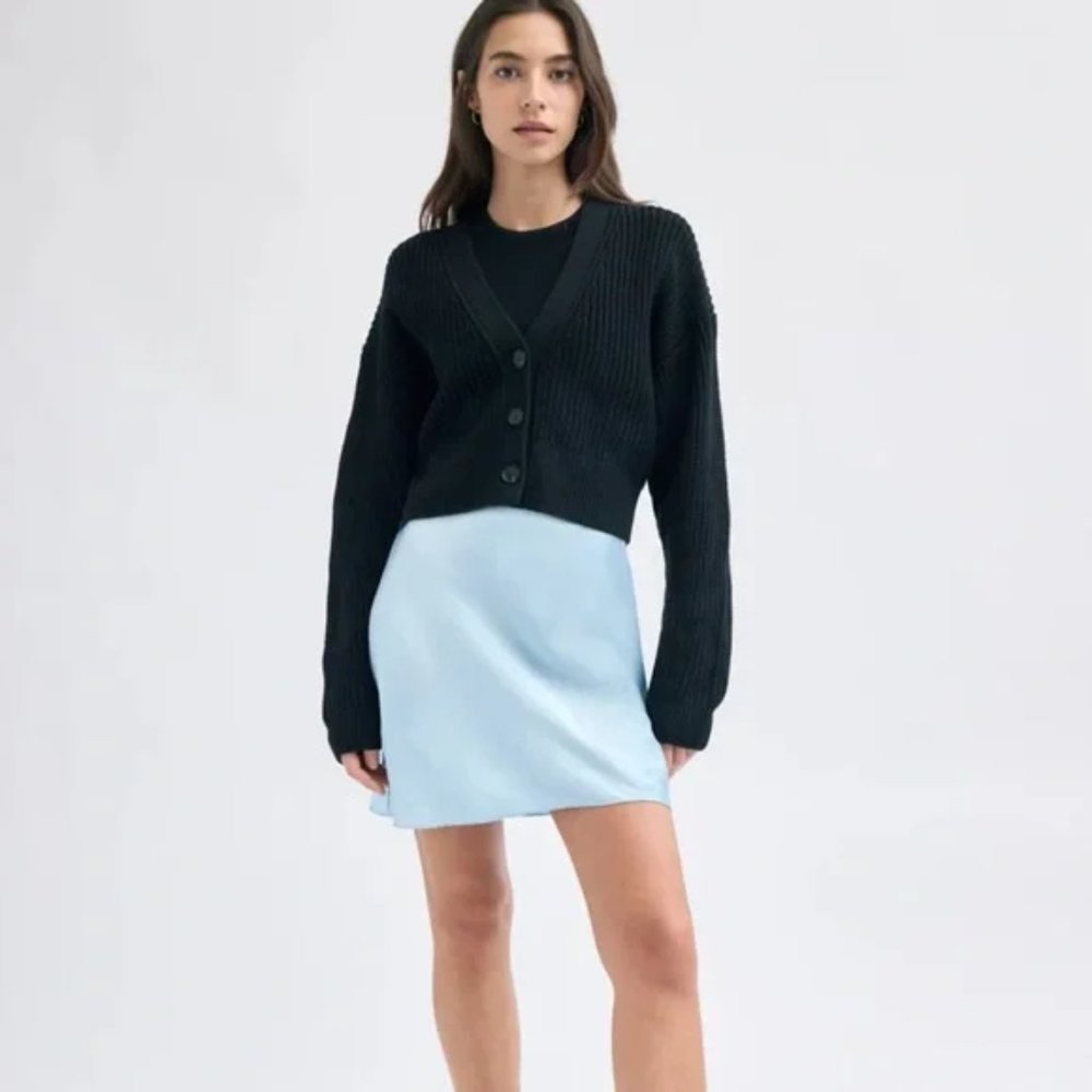 Aritzia - Babaton Mini Satin Slip Skirt